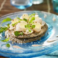 Carpaccio de Topinambour aux St Jacques, crème de noisette et blinis