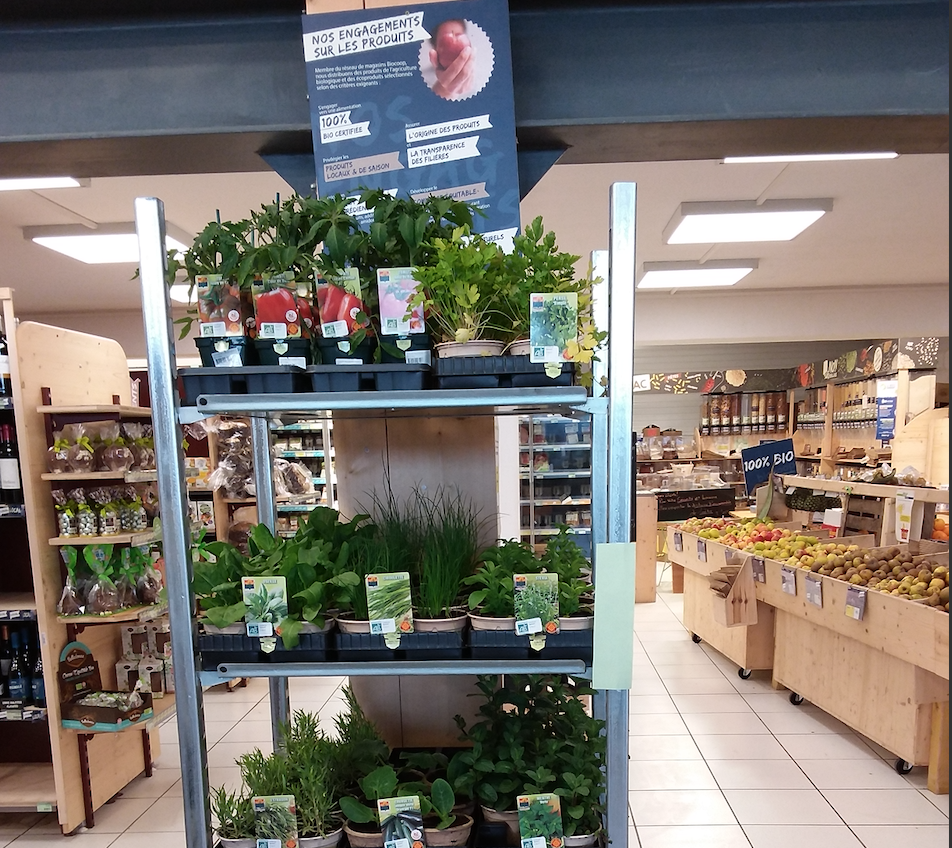 Les plants de Printemps sont arrivés !